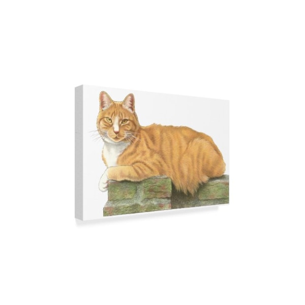 Francien Van Westering 'Orange Cat On Perch' Canvas Art,12x19